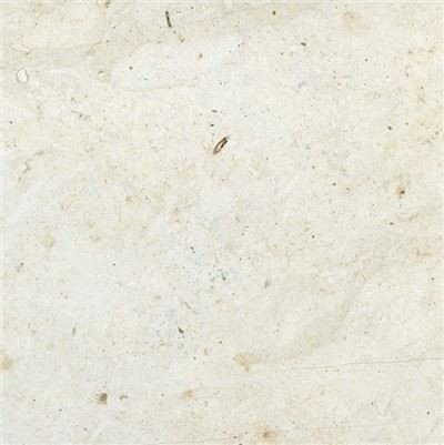 Thala Beige Limestone